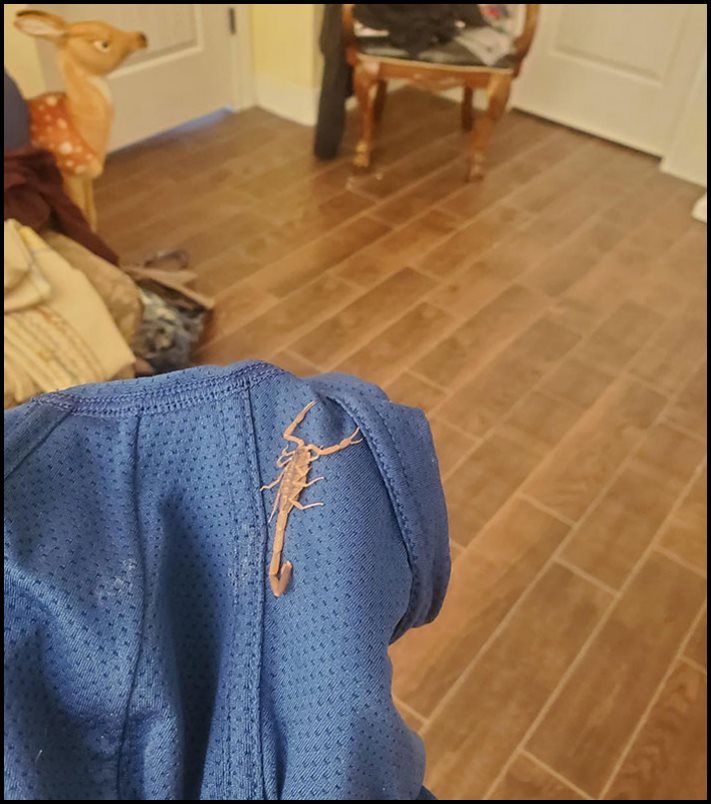 20 լուսանկար, որոնք հստակ ցույց են տալիս, թե ինչ է այն, երբ դու անհաջողակ ես բոլոր ճակատներով