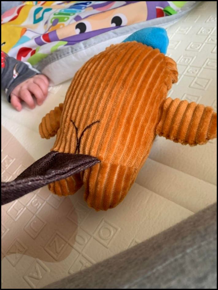 Վայ-դիզայներների 16 ստեղծագործություն, որոնց ոչ ոք այդպես էլ չհամարձակվեց պատմել ծրագրի ձախողման մասին