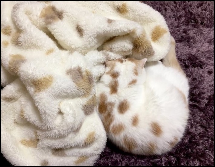 16 դեպք, երբ ավելի հեշտ է հավատալ, որ նկարում ոչ ոք չկա, քան գտնել գոնե մեկին