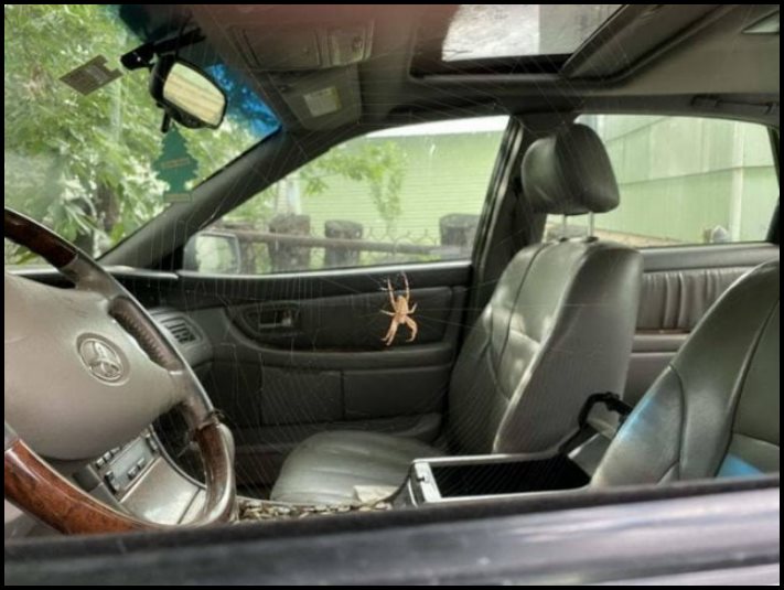 18 անեկդոտներ և կատակներ մայր բնությունից, որպեսզի մարդիկ չթուլանան