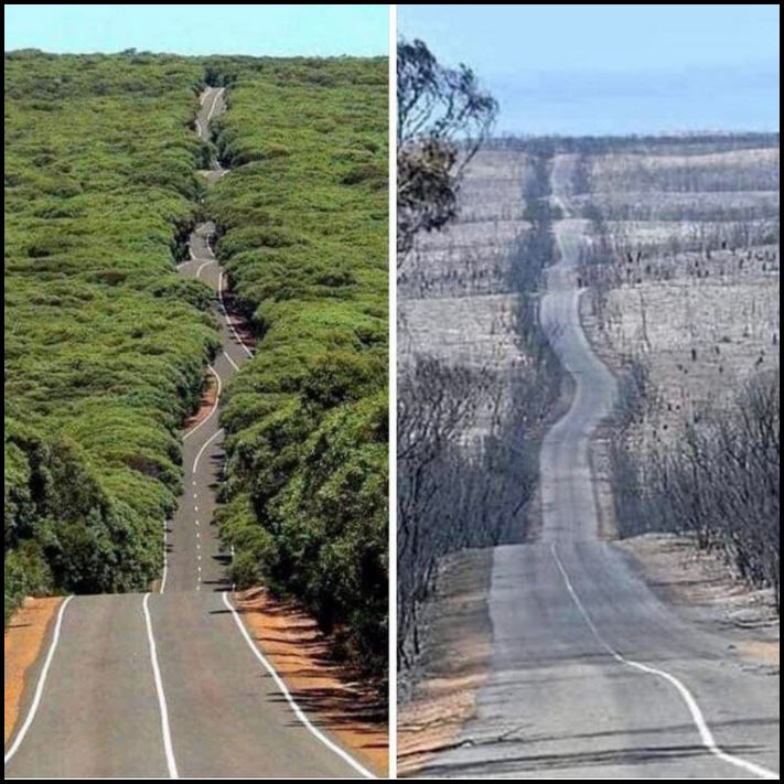 16 համեմատական ​​լուսանկարներ, որոնք ապացուցում են, որ մենք ինքներս ենք ստեղծում աշխարհը մեր շուրջ