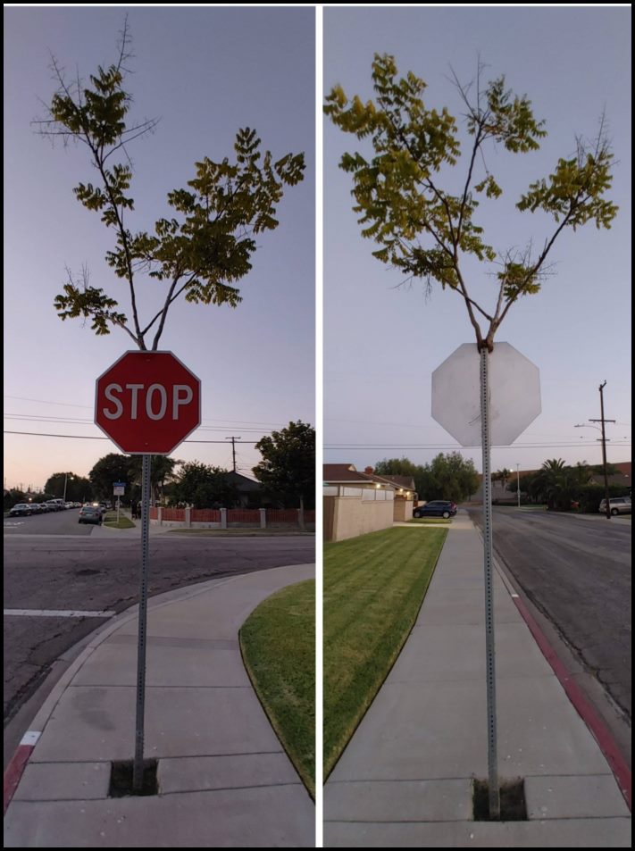 18 անեկդոտներ և կատակներ մայր բնությունից, որպեսզի մարդիկ չթուլանան