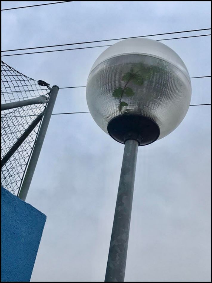 18 անեկդոտներ և կատակներ մայր բնությունից, որպեսզի մարդիկ չթուլանան