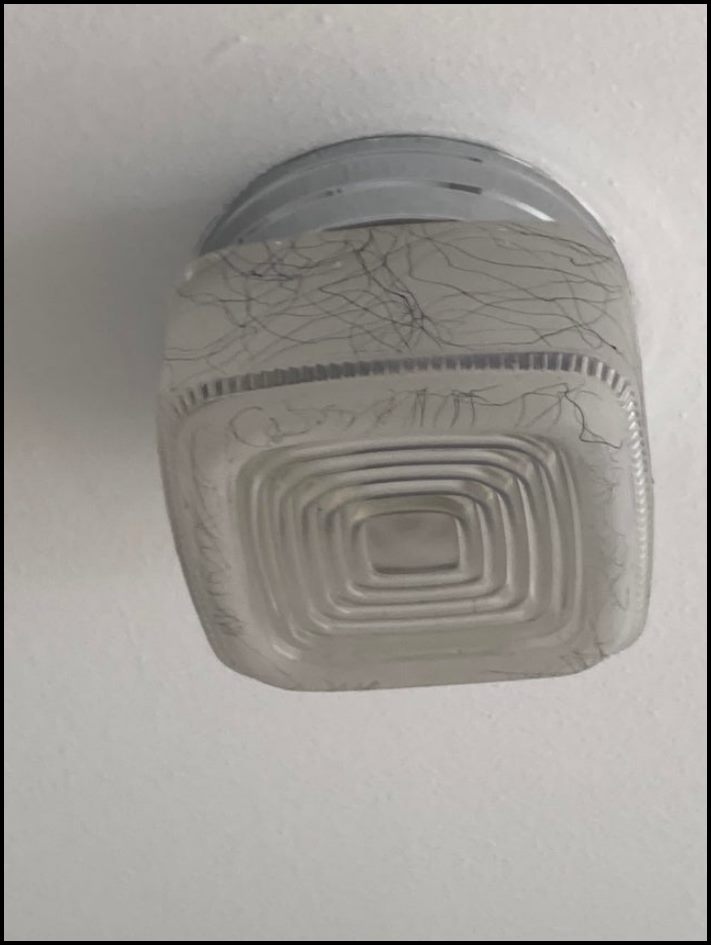 Վայ-դիզայներների 16 ստեղծագործություն, որոնց ոչ ոք այդպես էլ չհամարձակվեց պատմել ծրագրի ձախողման մասին