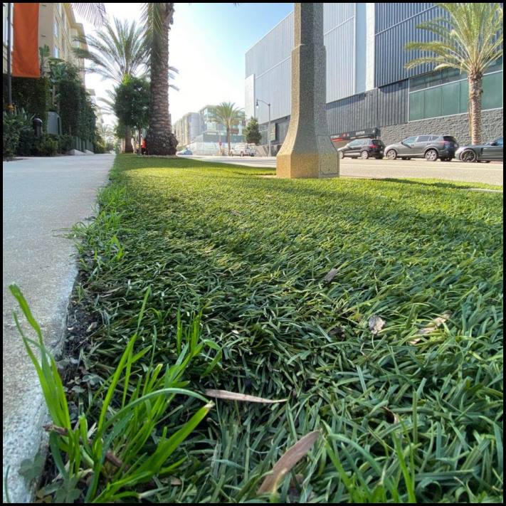 18 անեկդոտներ և կատակներ մայր բնությունից, որպեսզի մարդիկ չթուլանան