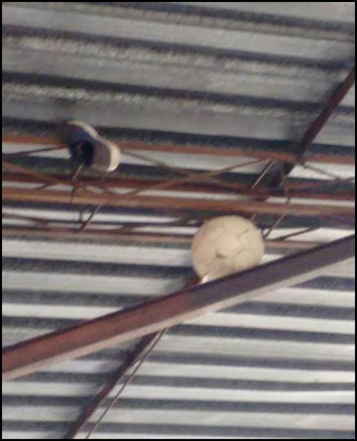 20 լուսանկար, որոնք հստակ ցույց են տալիս, թե ինչ է այն, երբ դու անհաջողակ ես բոլոր ճակատներով