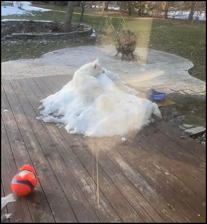 16 դեպք, երբ ավելի հեշտ է հավատալ, որ նկարում ոչ ոք չկա, քան գտնել գոնե մեկին