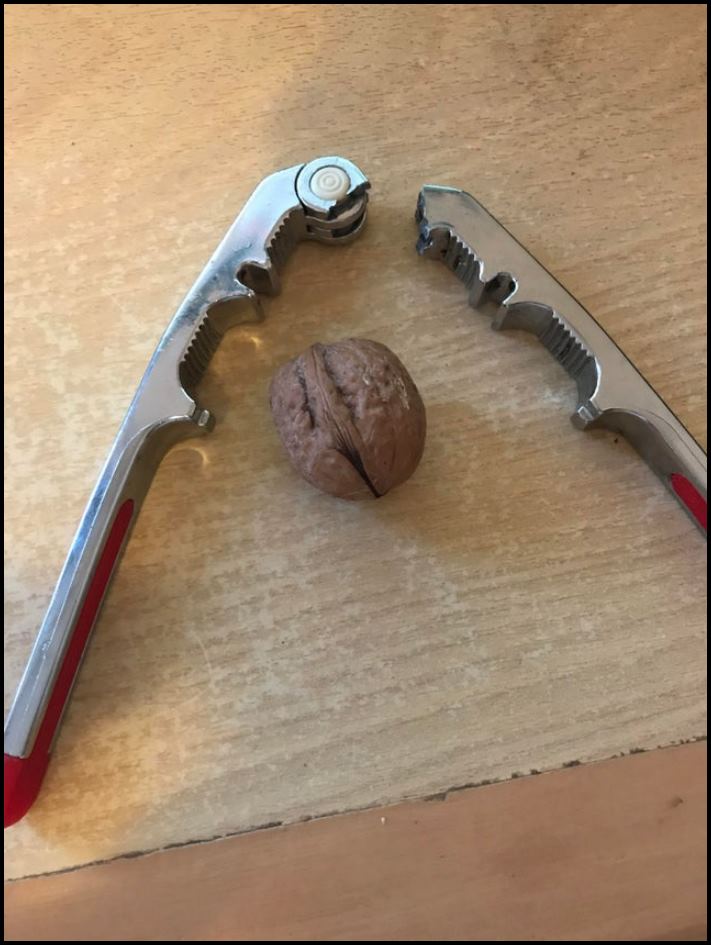 20 լուսանկար, որոնք հստակ ցույց են տալիս, թե ինչ է այն, երբ դու անհաջողակ ես բոլոր ճակատներով