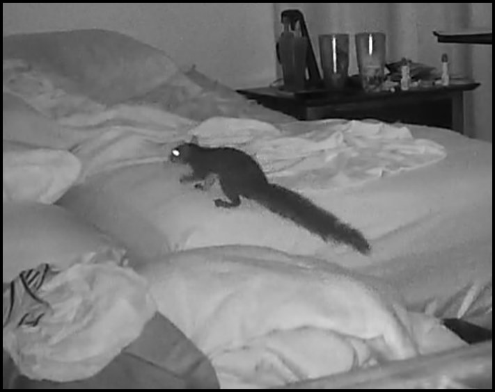 18 անեկդոտներ և կատակներ մայր բնությունից, որպեսզի մարդիկ չթուլանան