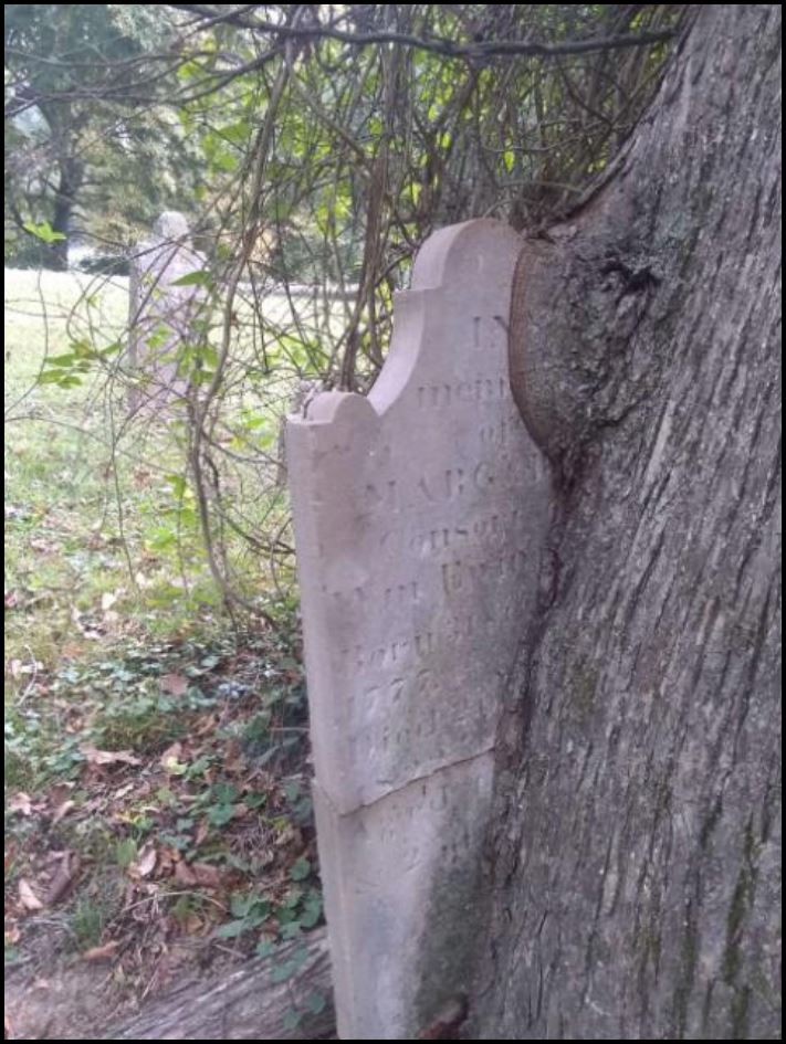 18 անեկդոտներ և կատակներ մայր բնությունից, որպեսզի մարդիկ չթուլանան