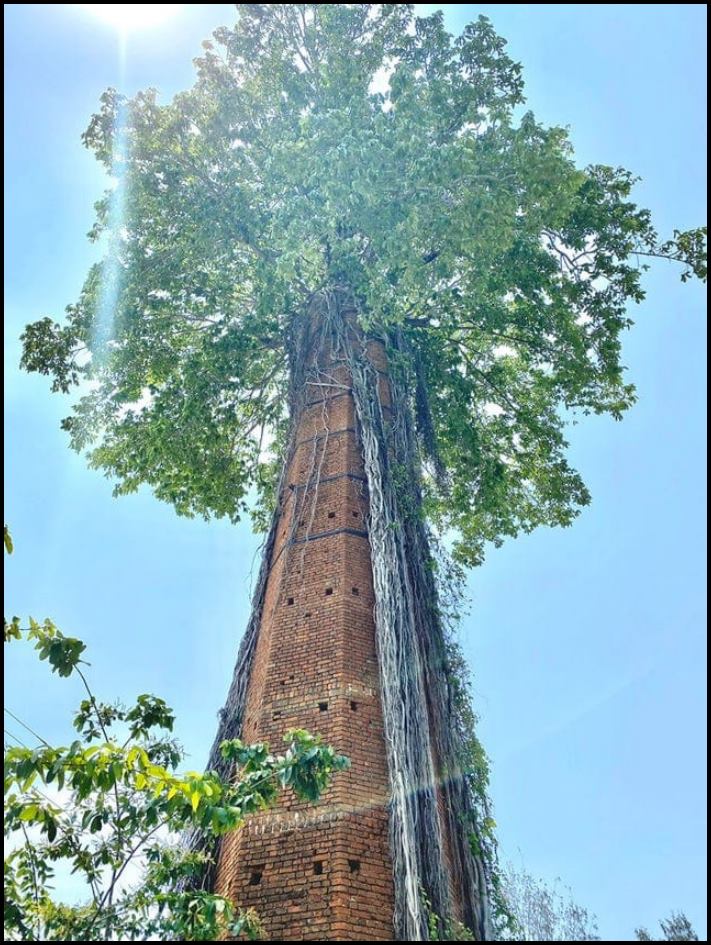 18 անեկդոտներ և կատակներ մայր բնությունից, որպեսզի մարդիկ չթուլանան