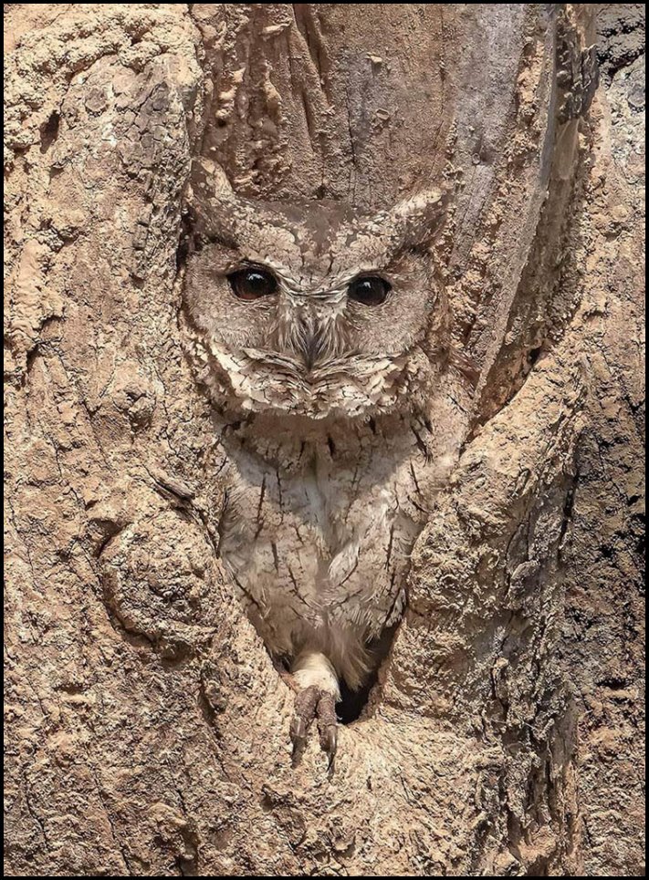 16 դեպք, երբ ավելի հեշտ է հավատալ, որ նկարում ոչ ոք չկա, քան գտնել գոնե մեկին