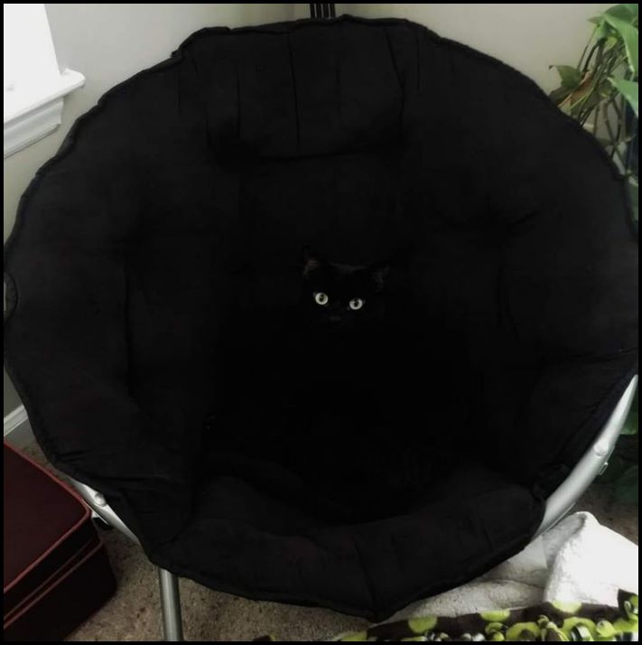 16 դեպք, երբ ավելի հեշտ է հավատալ, որ նկարում ոչ ոք չկա, քան գտնել գոնե մեկին