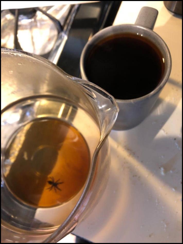 Ցավով լցված 16 լուսանկար այն մարդկանցից, ովքեր գիտեն, թե ինչ է իրենից ներկայացնում կյանքի սև գիծը