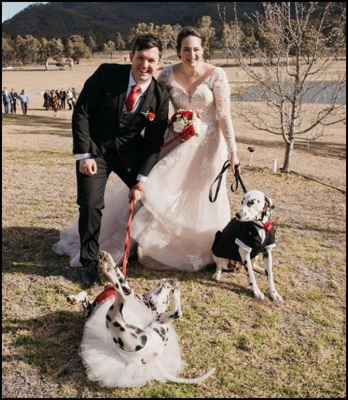 20 զվարճալի լուսանկար, որոնք այնքան էլ նման չեն այն լուսանկարներին, որոնք ընդունված է նկարել հարսանեկան ֆոտոսեսիաների ժամանակ