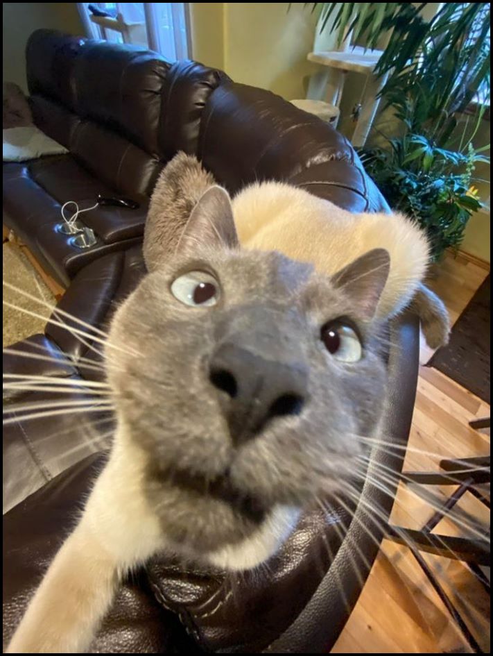 Ճիշտ ժամանակին և ճիշտ անկյունից արված 18 կադր