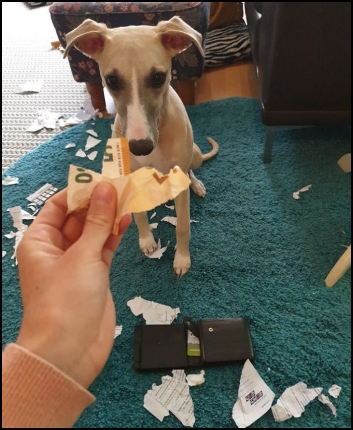 19 մարդ, ովքեր աշխարհին շատ բան ունեն պատմելու վատ օրերի մասին