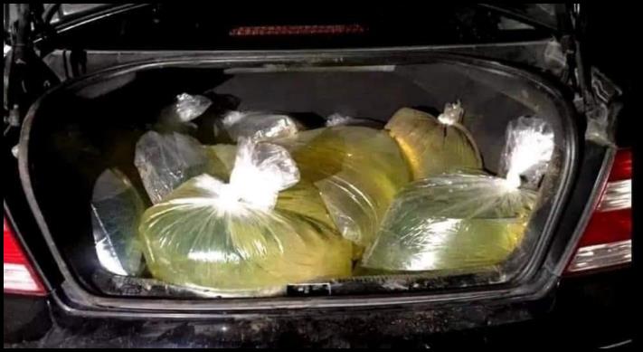 17 վարորդներ, ովքեր իրենց ամբողջ արտաքին տեսքով օրինակ են ծառայում, թե ինչպես չպետք է անել