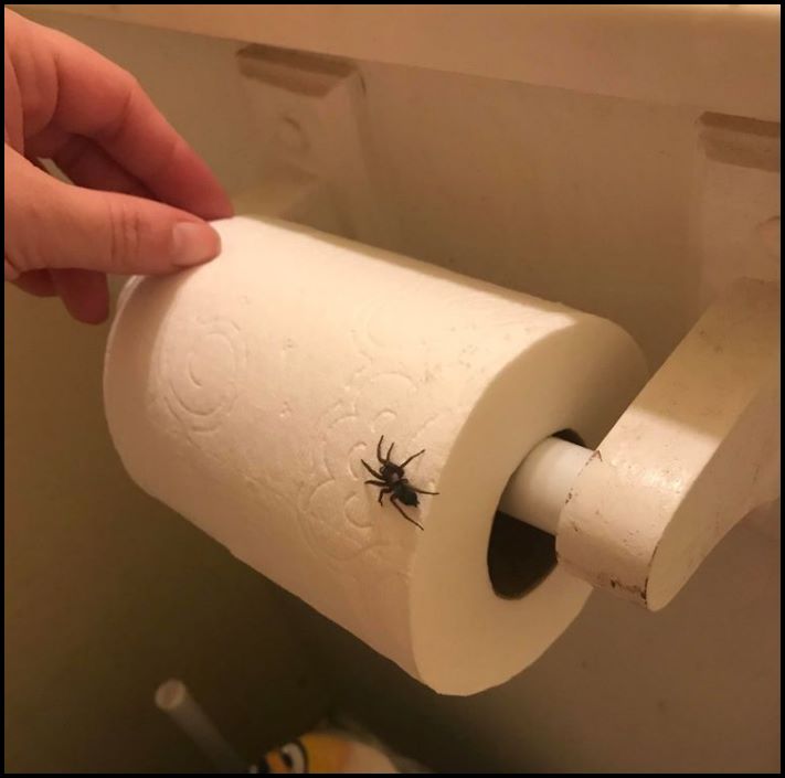 19 ապացույց այն բանի, որ միշտ էլ կա մի բան, ինչն է՛լ &laquo;ավելի վատ&raquo; է, և երբ էլ ոչինչ չի զարմացնում ձեզ