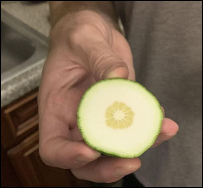 16 օրինակներ, երբ կյանքը մարդկանց վրա անսպասելի տհաճ անակնկալներ է նետել