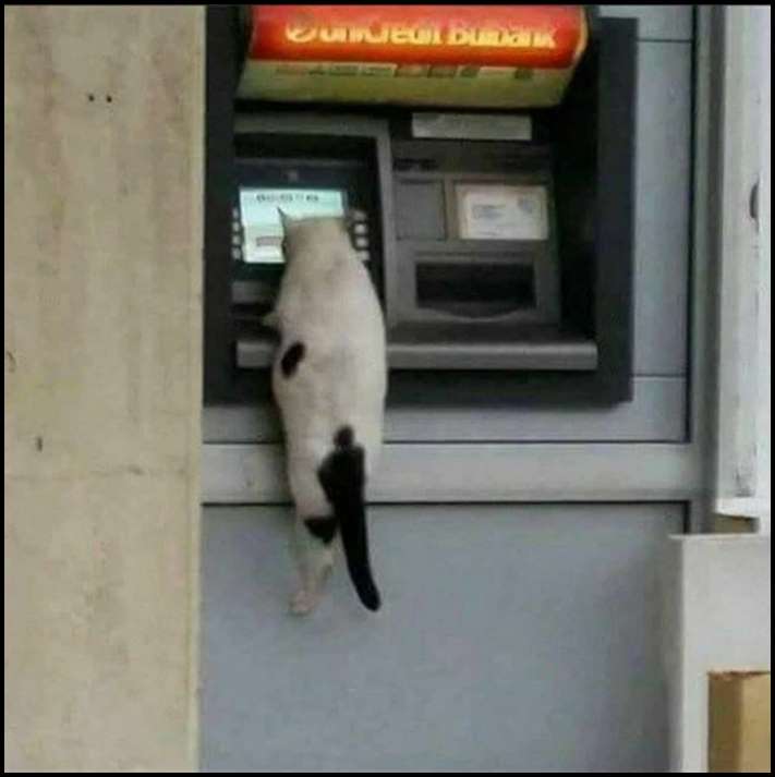 15 շփոթեցնող նկարներ, իսկ դրանք իսկապես տարօրինակ են