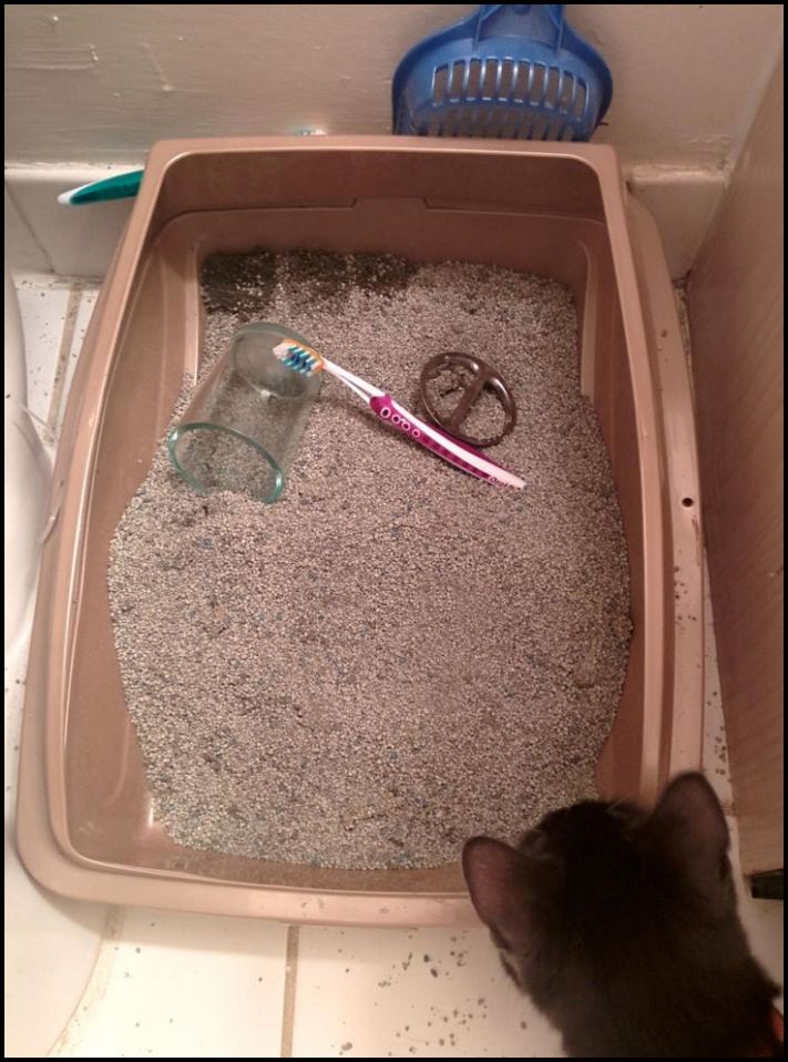 16 օրինակներ, երբ կյանքը մարդկանց վրա անսպասելի տհաճ անակնկալներ է նետել