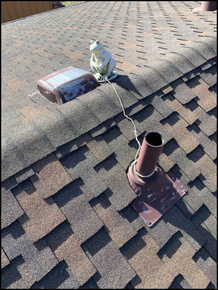 19 նկարագրող օրինակ, թե ինչպես պետք է խթանել մարդկային հետաքրքրասիրությունը