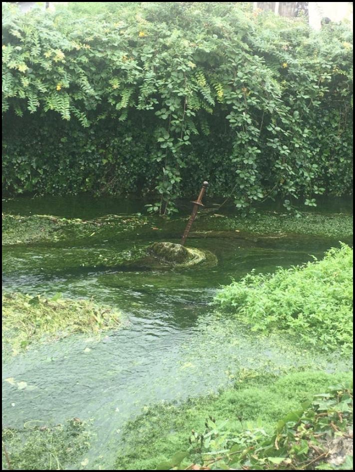 19 նկարագրող օրինակ, թե ինչպես պետք է խթանել մարդկային հետաքրքրասիրությունը