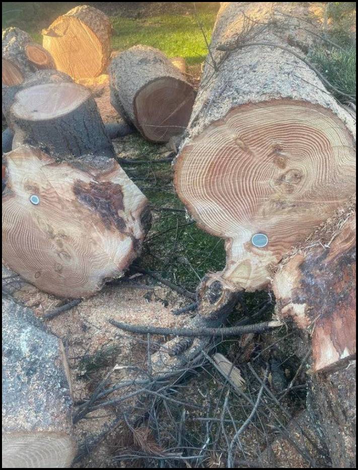 13 հետաքրքիր և անսովոր բաներ, որոնց բախվել են մարդիկ