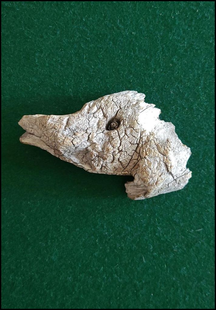 17 արտառոց բաներ, որոնք ոչ ոք չի թաքցնում։ Պարզապես պետք է կարողանալ նկատել մանրամասները