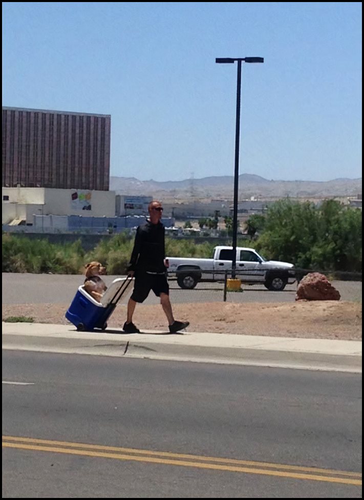 17 կադր, թե ինչ տեսք ունի ինտենսիվ շոգը և ինչպես կարող եք խուսափել դրանից