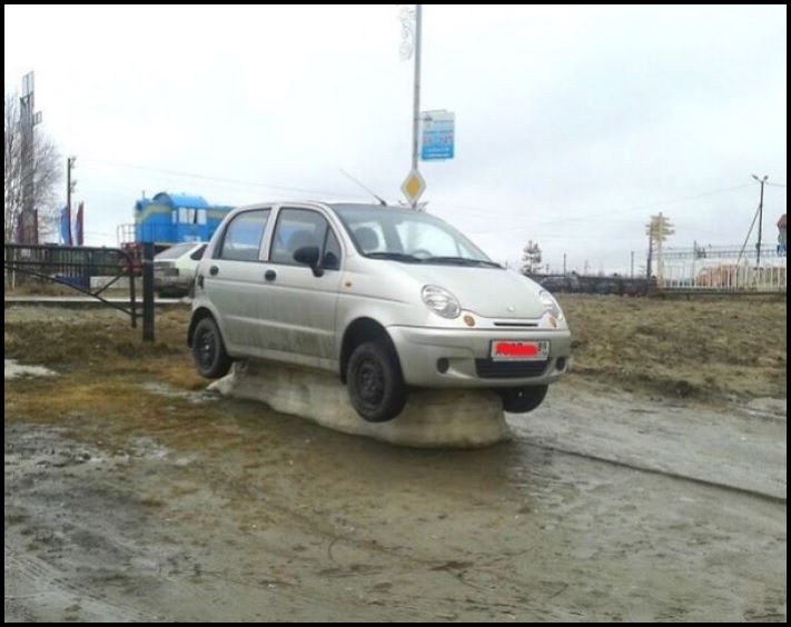 Բնության 16 անսպասելի անակնկալներ, որոնք քչերին են ուրախացրել իրենց հայտնությամբ