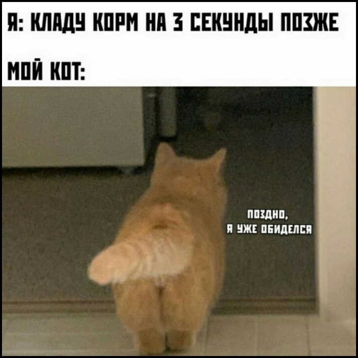 18 կենդանիներ, որոնք միայն զբաղված են իրենց տերերի նյարդերը խանգարելով