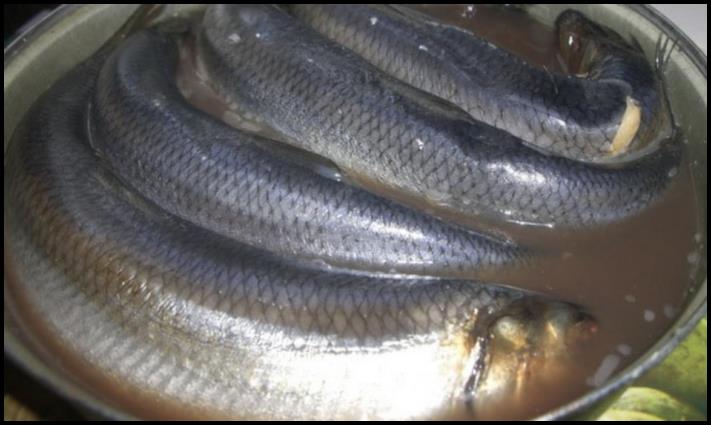 Հետաքրքիր օրինակ, թե ինչպես մաքրել ծովատառեխը։ Պարզապես սեղմեք և ստացեք ֆիլե