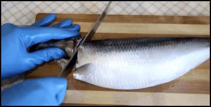 Հետաքրքիր օրինակ, թե ինչպես մաքրել ծովատառեխը։ Պարզապես սեղմեք և ստացեք ֆիլե
