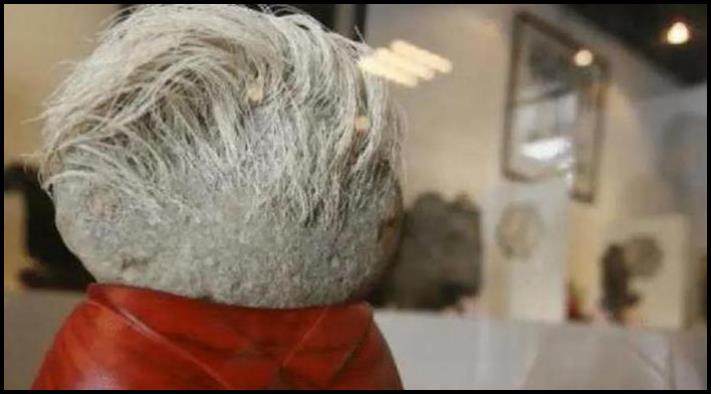 Ֆերմերն իր այգում «մազոտ» քար գտավ և բերեց տուն