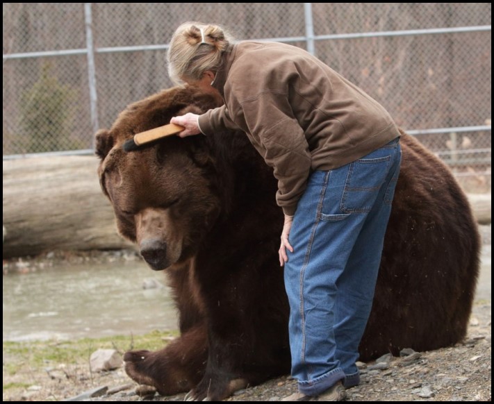 Ամուսնական զույգը փրկում է որբ քոթոթերին և խնամում նրանց, ինչպես իրենց երեխաներին