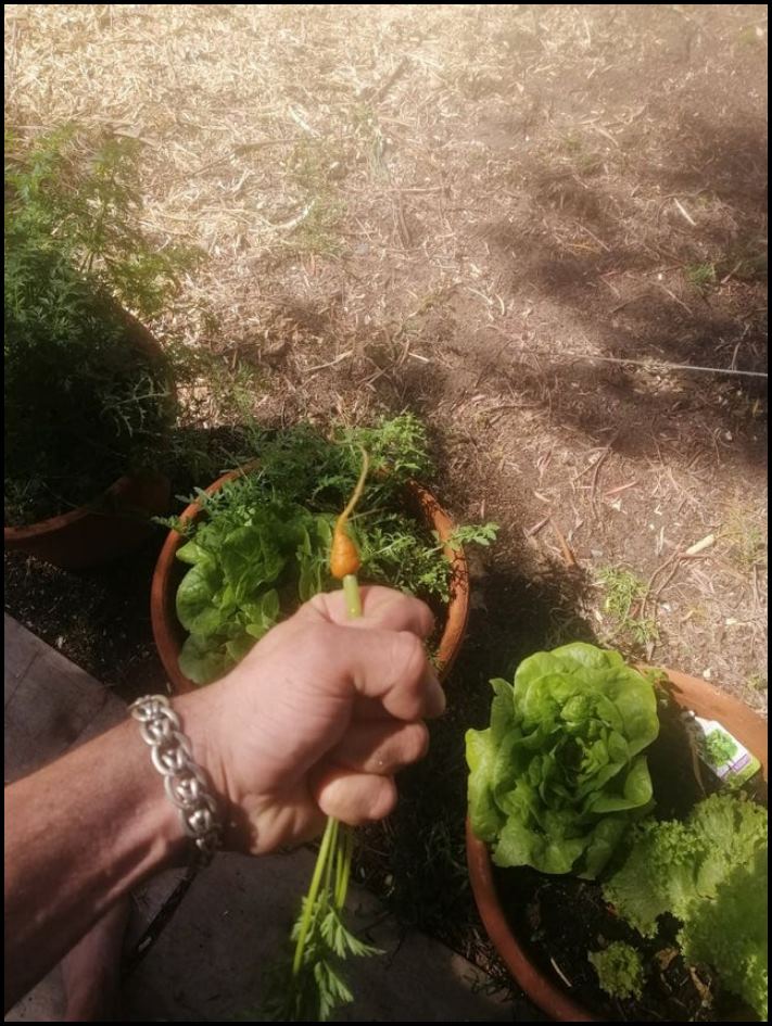 20 դեպք, երբ մարդիկ դեմ առ դեմ բախվել են անհաջողության և զգացել դրա ողջ ցավը