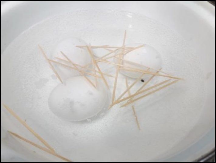 Ընկերուհիներիցս մեկն ինձ խորհուրդ տվեց ձու եփել ատամի փայտիկներով։ Հիմա ես միշտ այդպես եմ պատրաստում