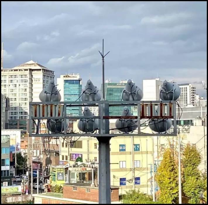 17 լուսանկար, որոնք պետք է մի քանի անգամ նայել՝ հասկանալու համար, թե ինչ է կատարվում այնտեղ