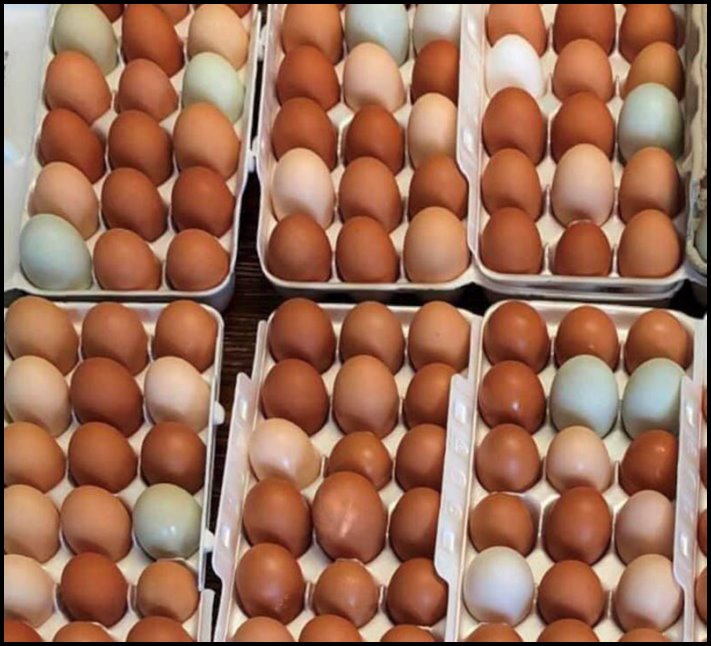 17 կադր, որոնք կարող են շփոթեցնել նույնիսկ ամենաուշադիր և գիտակից մարդուն