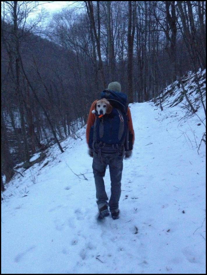 17 ուշագրավ դրվագներ, որոնք ֆիքսել են արշավորդները։ Ոգեշնչման հավաքածու
