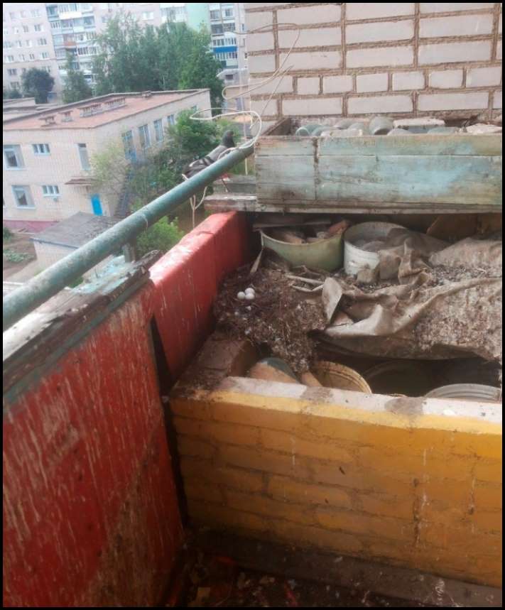 Երիտասարդ ընտանիքը գնեց փլուզվող խրուշչովյան բնակարան: Ահա թե ինչպես նրանք փոխակերպեցին այն