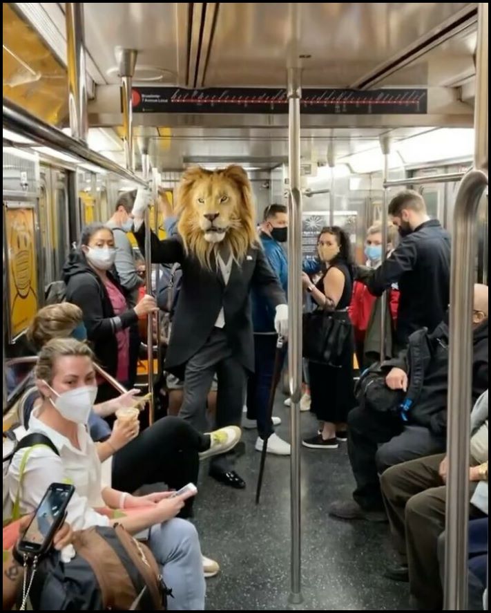 17 զարմանալի օրինակներ, երբ մարդիկ անսովոր բան են տեսել մետրոյում