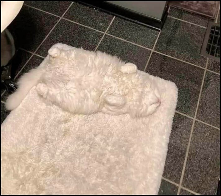 16 զարմանալիորեն տեղին զուգադիպություններ՝ որպես օրինակ, որ տիեզերքը երբեմն կարող է զվարճանալ