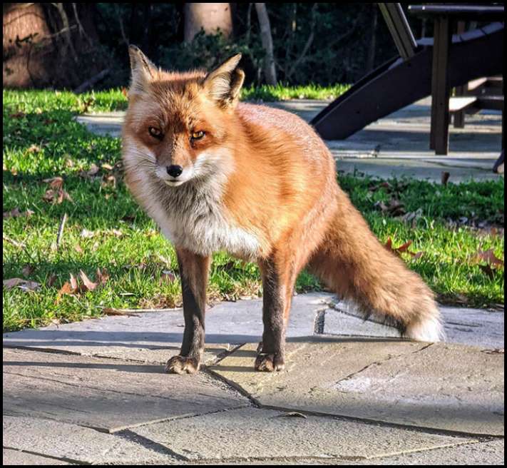 17 կադր, որոնք իրապես կարող են շփոթեցնել նրանց, ովքեր չգիտեն, թե ինչ է կատարվում կուլիսներում