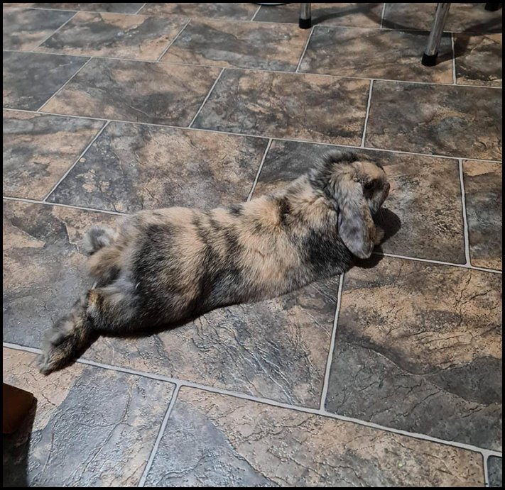 16 զարմանալիորեն տեղին զուգադիպություններ՝ որպես օրինակ, որ տիեզերքը երբեմն կարող է զվարճանալ