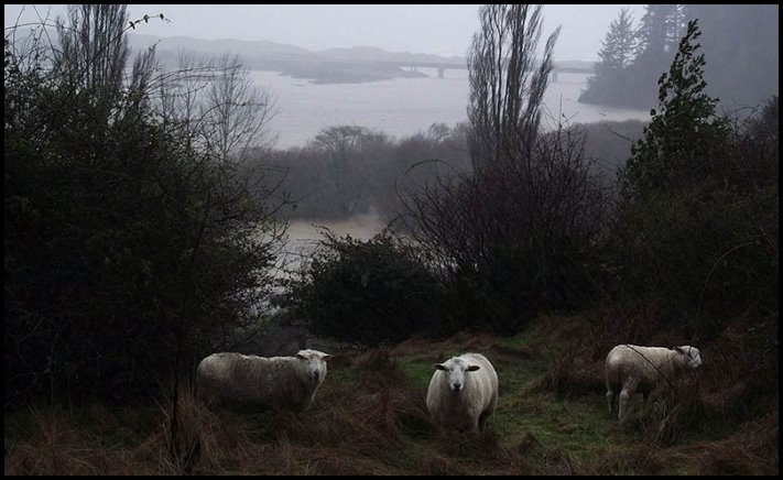 17 զարմանալի հաջողված կադրեր, որոնք ստացվեցին իրենք իրենց, թեև դրանք պետք է սովորական լինեին