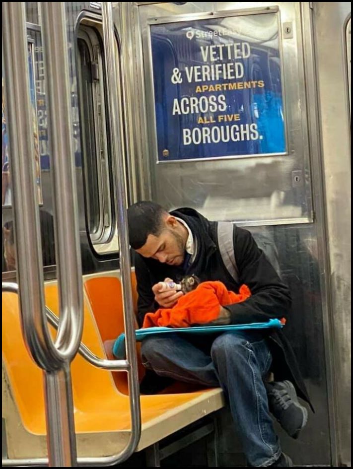 17 զարմանալի օրինակներ, երբ մարդիկ անսովոր բան են տեսել մետրոյում