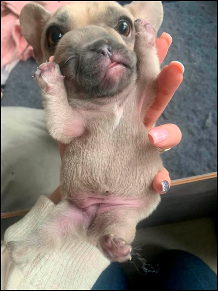 17 կադր, որոնք իրապես կարող են շփոթեցնել նրանց, ովքեր չգիտեն, թե ինչ է կատարվում կուլիսներում